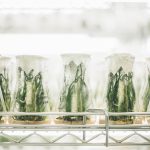 Chemical and Biological Engineering - plants in controlled growth